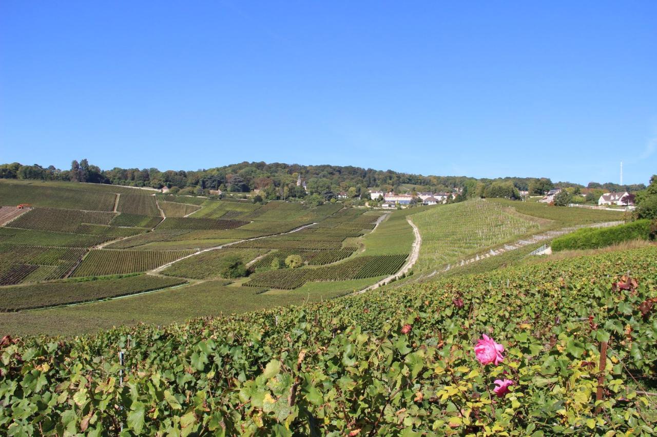 Enjoy En Champagne Maison Calme Au Milieu Du Vignoble Avec Parking Gratuit Dormans Zewnętrze zdjęcie