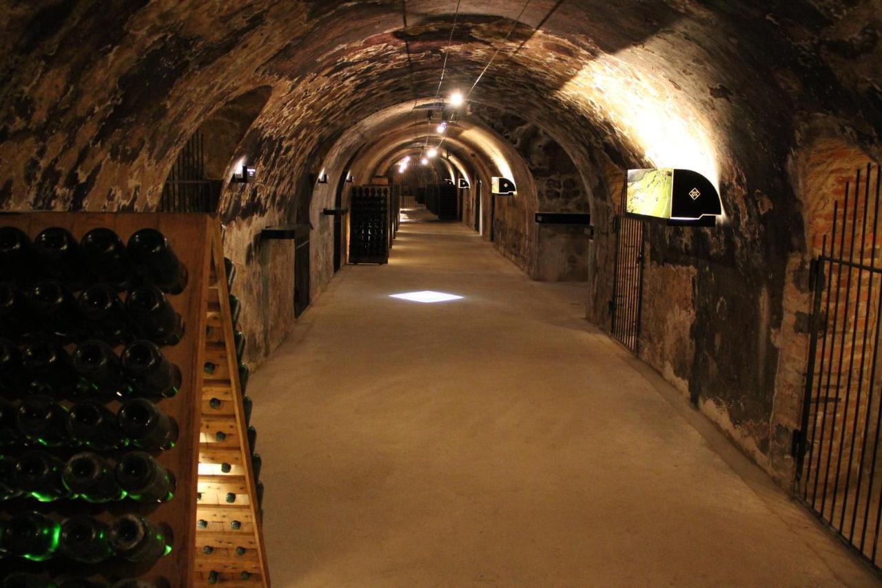 Enjoy En Champagne Maison Calme Au Milieu Du Vignoble Avec Parking Gratuit Dormans Zewnętrze zdjęcie