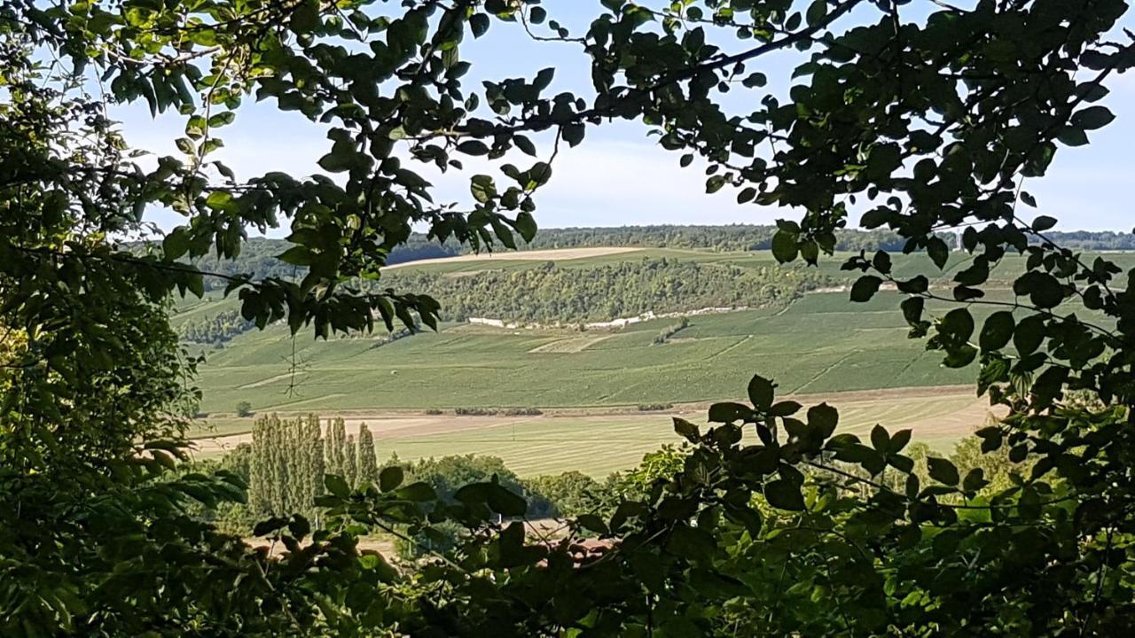 Enjoy En Champagne Maison Calme Au Milieu Du Vignoble Avec Parking Gratuit Dormans Zewnętrze zdjęcie